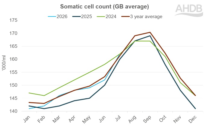 Line graph showing somatic cell count GB average 2024 to 2026.
